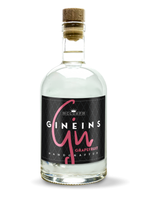 GINeins Grapefruit 0,2l